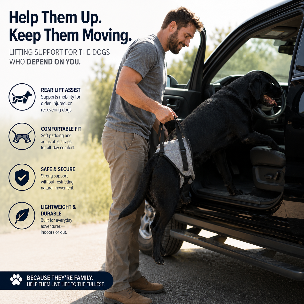 PawVera Dog Lift Harness