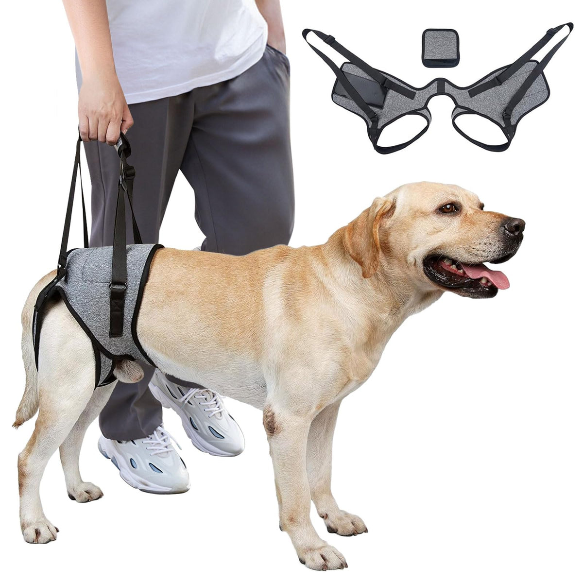PawVera Dog Lift Harness
