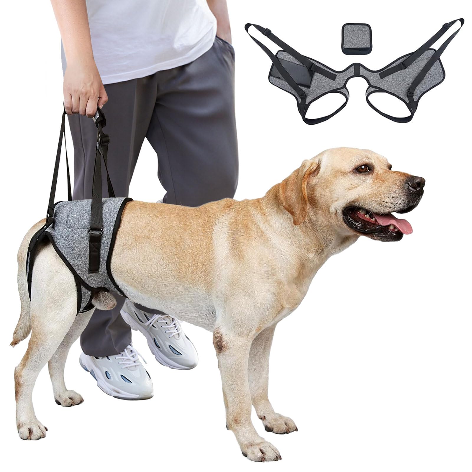 PawVera Dog Lift Harness